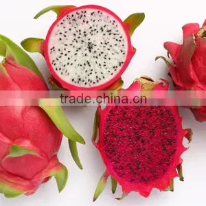Red Flesh Fresh Dragon Fruit From Vietnam thumbnail-3
