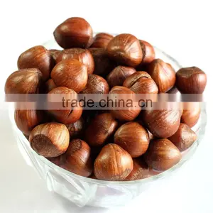 Organic Grade A High Quality Hazelnut Hazelnut Buyers thumbnail-1