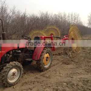 Agricultural Machinery Top Quality Wheel Rake for Tractor thumbnail-4