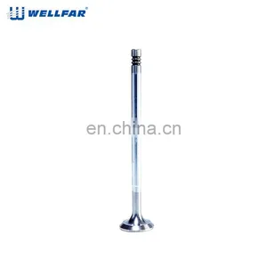 Factory High Precision Performance Engine Valve for Fiat DOBLO thumbnail-4