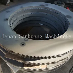 Slewing Ring Bearing for Mobile Crane and Excavator Slewing Gearbox thumbnail-2