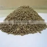 Cumin Seeds for Dubai United Arab Emirates thumbnail-1