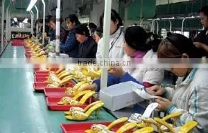 Shantou Chengguo Trading Co., Ltd. company overview - view 3 thumbnail