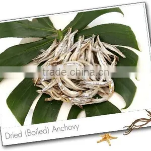 DRIED ANCHOVY FISH GOOD QUALITY - SPECIAL PRICE thumbnail-1