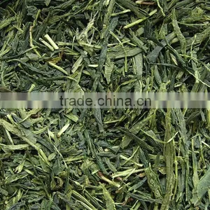 Organic Slimming Tea Wild Green Tea Japanese Sencha Steam thumbnail-2