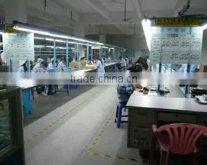Shenzhen Longxinglong Electronic Co., Ltd. company overview - view 1 thumbnail
