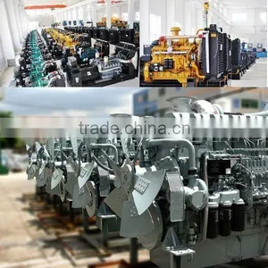 Diesel Generator thumbnail-1