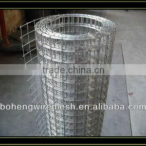 Welded Wire Mesh Anping Boheng (directe Factory) thumbnail-1