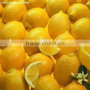 Chinese Fresh Lemon thumbnail-1