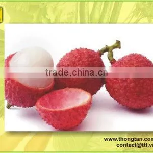 Canned Lychee in Syrup Plant by Thongtanfoood thumbnail-1