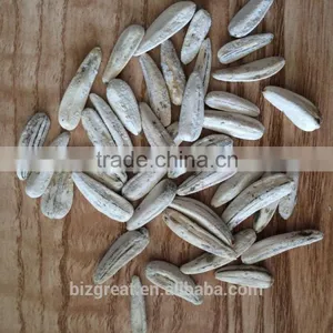 Supply Chinese Roasted Salted White Sunflower Seeds With Good Quality For Sales thumbnail-1