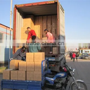 China Container Loading Supervision Service and Container Loading Monitoring thumbnail-1