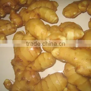 New Crop of Ginger/Europe Quality Level thumbnail-1