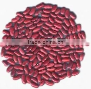 Red Kidney Beans(English Type) thumbnail-1