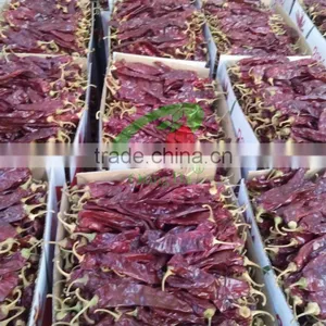 Chinese Sweet Paprika thumbnail-2