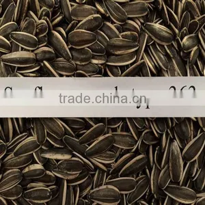 Chinese Sunflower Seeds 5009 With 270-280pcs thumbnail-2