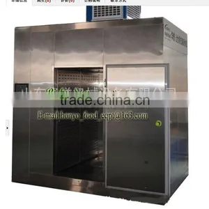 Thawing Machine/Defrosting Equipment thumbnail-1
