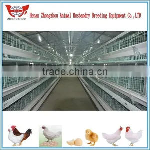 Hot Chicken Layer Cage/ Hens Chicken Cage/chicken Farm/poultry Farm thumbnail-3
