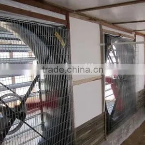 Poultry Fan/broiler Breeder House Fan/chicken Fan/egg Fan/cone Fan/chicken Farm thumbnail-6