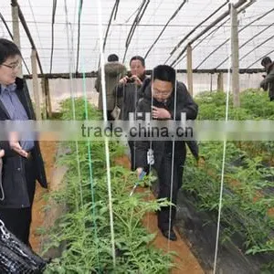 Vegetable Pollination Machine/Tomato Pollinator thumbnail-2