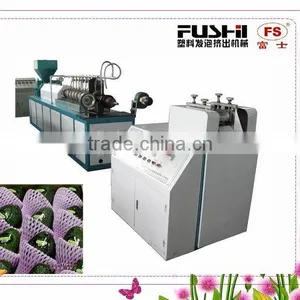PE Foam Net Extrusion Machine(FS-FPW70) thumbnail-1