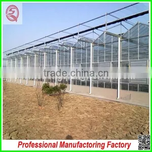 Commercial Steel Frame Venlo Polycarbonate Greenhouses for Sale thumbnail-3