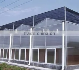 Stabilize Greenhouse Flowers Cultivating Steel Structure thumbnail-1