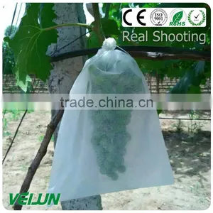 Nonwoven Fabric for Bags in Colors( 10gsm to 200gsm) thumbnail-1