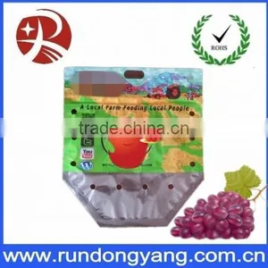 Stand Up Pouch Fruit Packaging Bag With Handle thumbnail-2