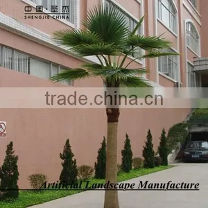 Factory Direct High Quality Palm Tree With Cheap Price Palm Tree for Shopping Mall Decoration thumbnail-5