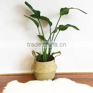 Natural Color Seagrass Baskets/ Seagrass Storage Baskets/ Luandry Baskets thumbnail-5