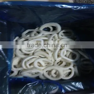 IQF Pacific Squid Rings (Todarodes Pacificus) thumbnail-5