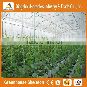 Heracles Economical Plastic Commercial Low Cost Multi Span Plastic Greenhouses With Automatic Irrigation System thumbnail-1