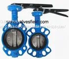 Butterfly Valves thumbnail-1