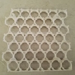 Plastic Egg Tray (chicken Eggs, Duck Eggs, Breeding Eggs) thumbnail-5