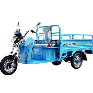 Tricycle thumbnail-1