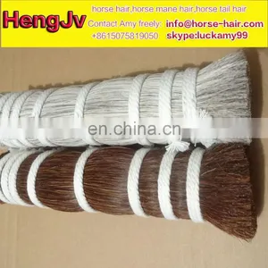 Loose Horse Hair for Sell Mongolian Horse Hair Horse Hair for Brush Extension thumbnail-1