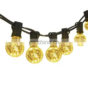 LED G40 Copper Wire Globe String Light With Low Voltage String Light Clear Bulbs 12Bulbs 12ft thumbnail-2