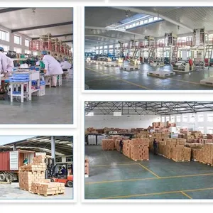 Qingdao Huamao Evergreen Industrial Co.,Ltd company overview - view 4 thumbnail