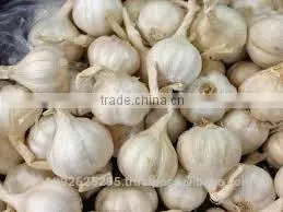 GARLIC/NICE GARLIC/NATURAL GARLIC/FRESH GARLIC thumbnail-1