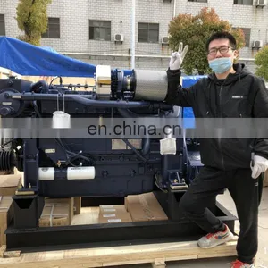 WEICHAI Marine Diesel Inboard Engines for Fishing Boat WD10C326-21 thumbnail-3