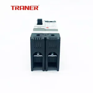 TRMF1-63 Thermal Magnetic Circuit Breaker 2P 10A 20A 30A 40A 50A 63A Main Switch thumbnail-3