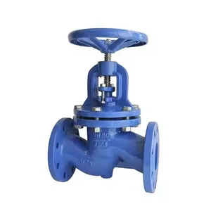 Pn16 Ductile Iron Cast Iron Steam Bellow Seal Water Control Globe Valve Price thumbnail-1