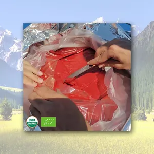 Organic 28/30 Brix Tomato Paste Concentrate in Drum Packaging Cold/Break Hot Bulk Packed thumbnail-5