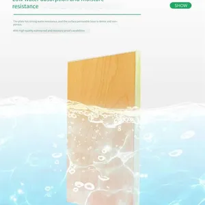 Manufacturer of New Environmentally Friendly Flame-retardant Wall Panels, Ice-fire Boards, Waterproof and Antibacterial Clean Boards thumbnail-2