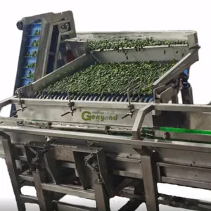 Genyond Factory Price Automatic Canned Mushroom Production Line thumbnail-5