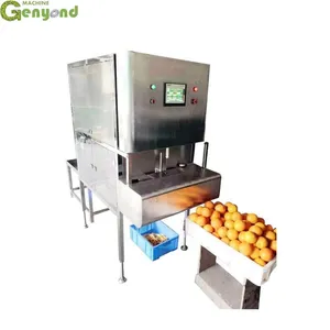 Orange Peeler Machine Fruit and Vegetable Peeling Machine thumbnail-1