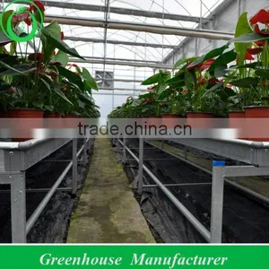 Cultivators Used Growing Table System thumbnail-1