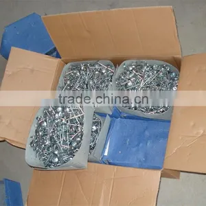 China Roofing Screw Nails With Plastic Caps / Umbrella Roofing Nails Supplier thumbnail-4