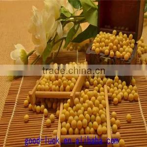 Soya Beans ,non-GMO,good Quality,cheap Price thumbnail-1